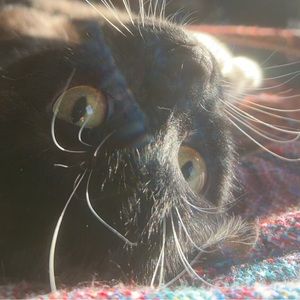 Meet your Posher, Janice